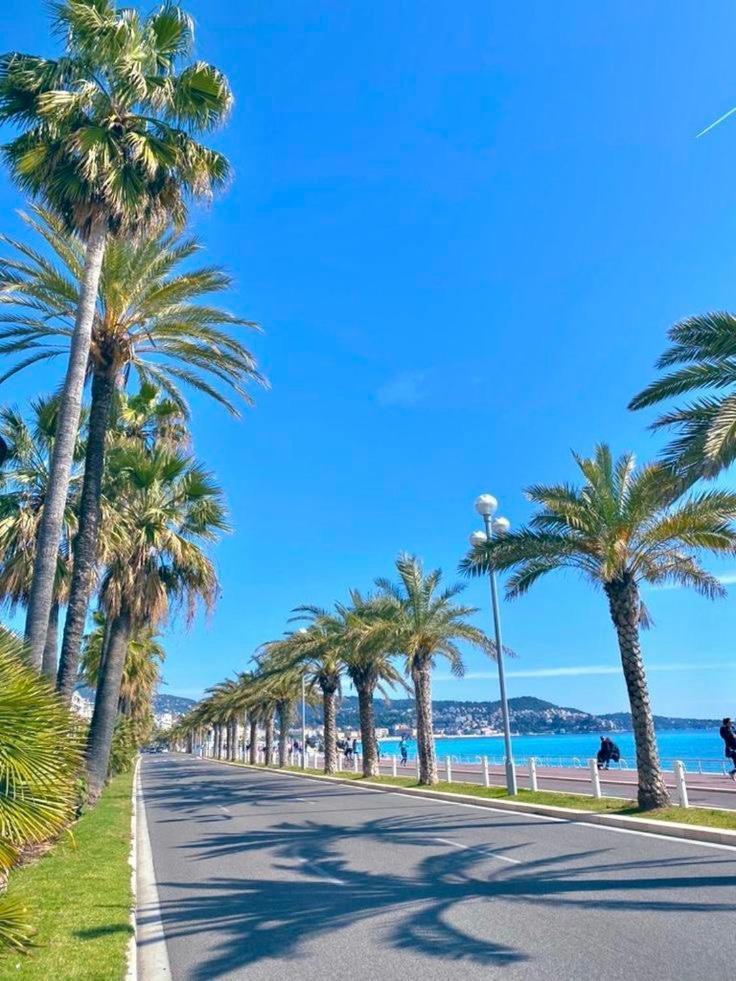 Suite Chic & Cosy, Hyper Centre, Proximite Plage, Nice Centre Exterior foto